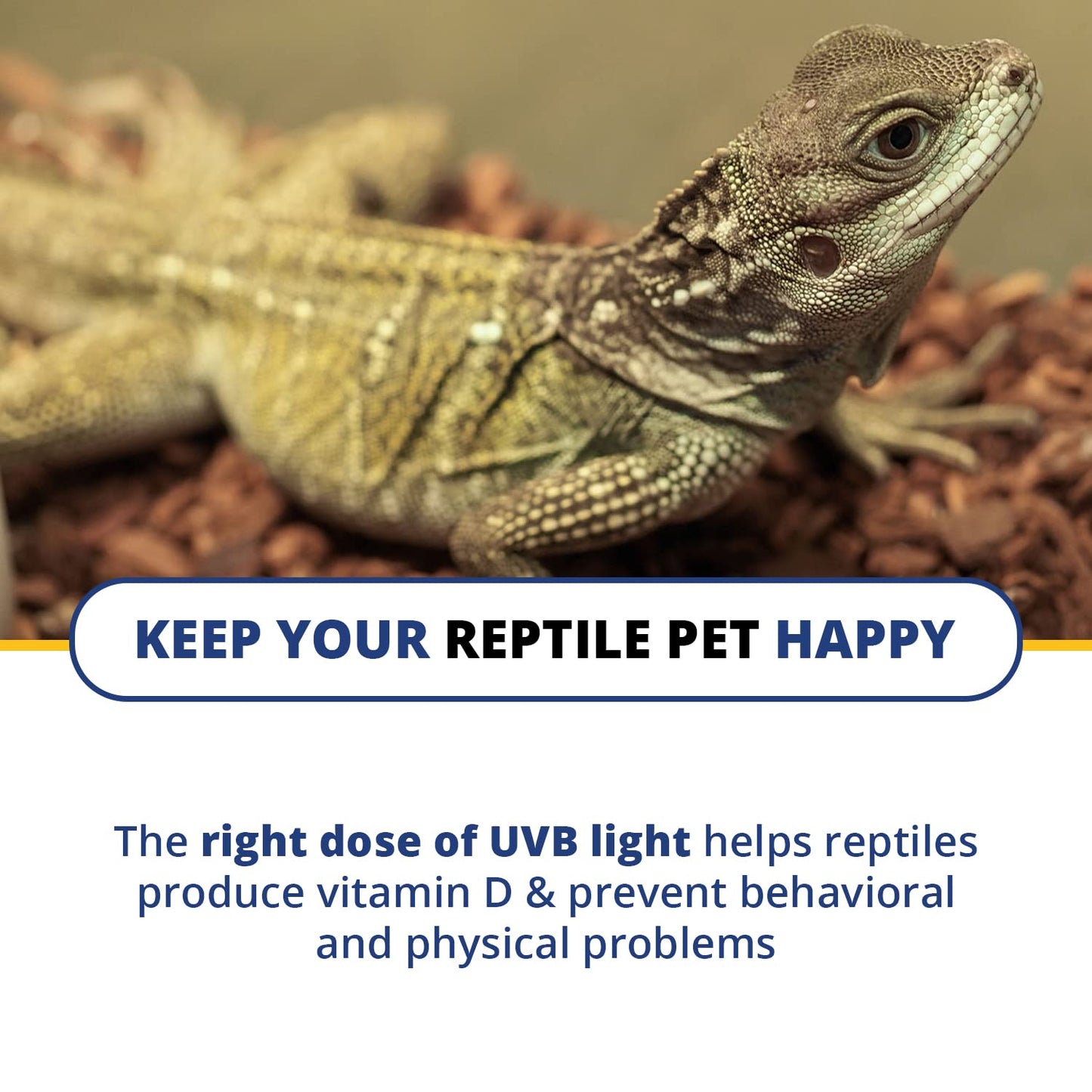 Solarmeter Model 6.2R – Handheld Reptile UVB Lamp Meter, Digital Radiometer & Bulb Tester for Terrariums & Outdoor Use, 0–1999 µW/cm² UVB, Made in USA